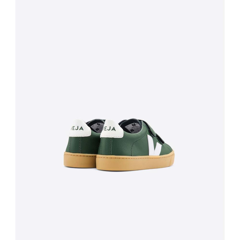 Kids' Veja ESPLAR LEATHER Shoes Green | ZA 736TCE